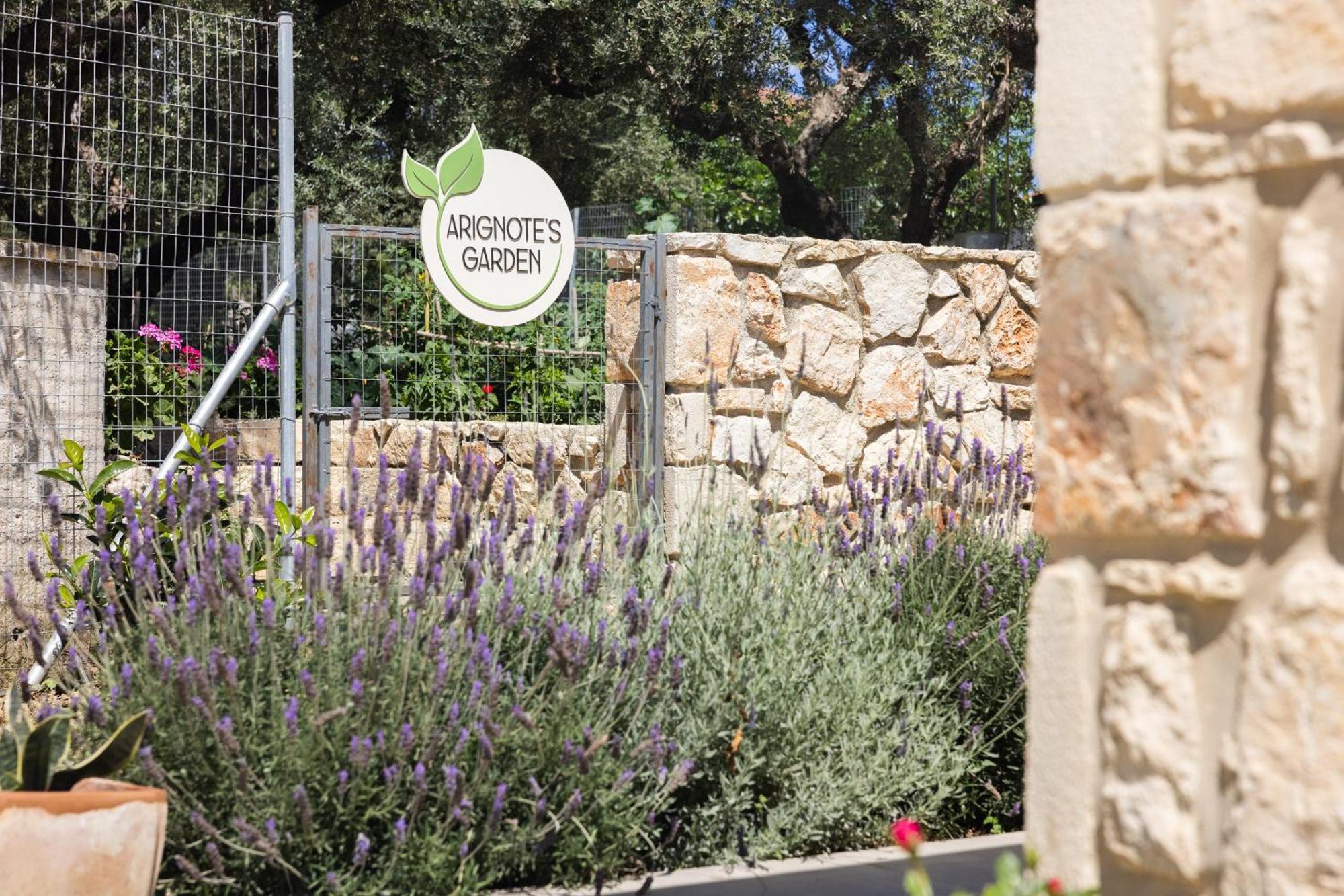 Arignote Suites Laganas Exterior foto